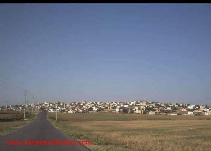 الجديدة : ايقونة الشروق