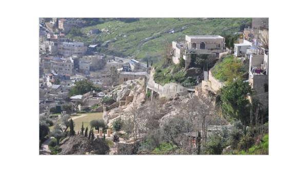 فلسطين.. وفرة الأمطار فجّرت الينابيع والمبادرات الزراعية