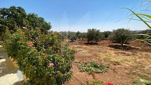 اجراءات حكومية جديدة لتحفيز الصادرات الزراعية وتشجيع الاستثمار