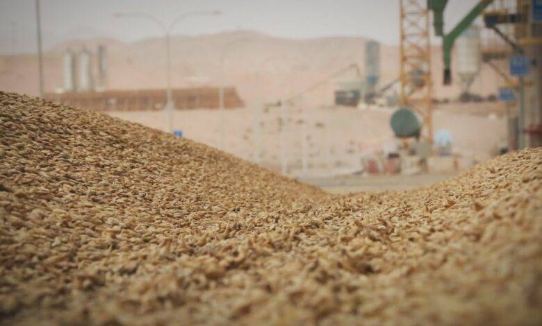 لتعزيز الأمن الغذائي.. توجه لرفع عدد الصوامع في الأردن
