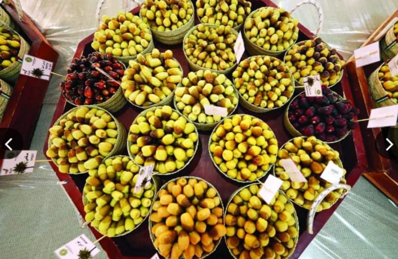 الإمارات ضمن أكبر مراكز إعادة تصدير التمور عالمياً...بصادرات تبلغ 1.7 مليار درهم