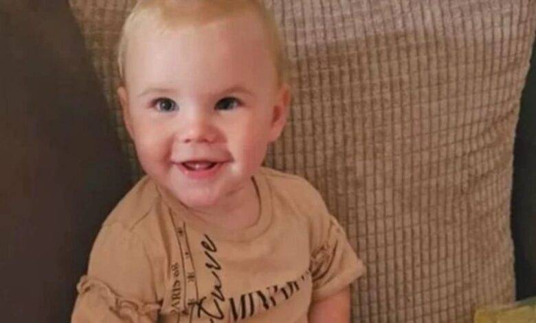 كلب يلتهم “طفلة” حتى الموت