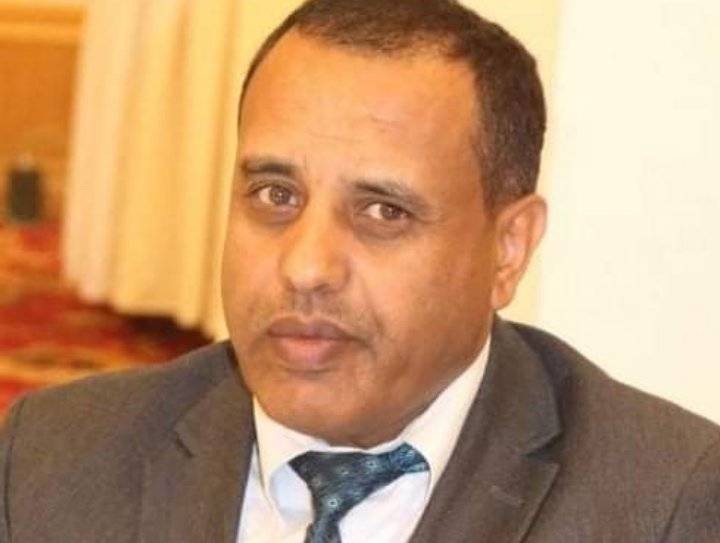 القضاة يكتب :من يضحي بالعشائرية من اجل الديمقراطيه لا يستحق كلاهما