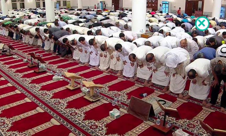 عدد ركعات صلاة التراويح