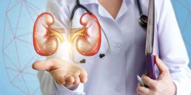 نصائح للحفاظ على صحة الكلى في شهر رمضان