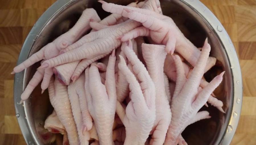 فوائد مذهلة لتناول أرجل الدجاج... تفاصيل
