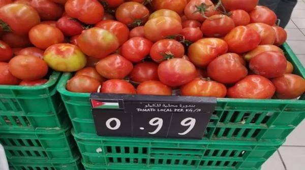حماية المستهلك تدعو لوضع سقوف سعرية للبندورة المعلقة والباذنجان