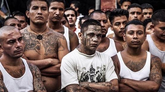 دولة تعلن الحرب على العصابات وتوقف 9 آلاف شخص