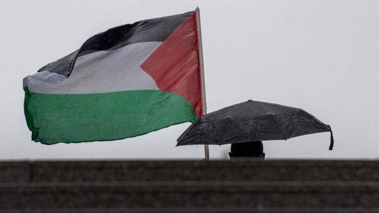 دول أوروبية تطالب بتقديم مساعدات عاجلة لفلسطين