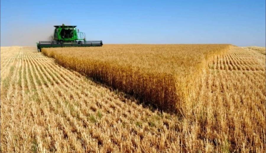 أوكرانيا: نستطيع تصدير 23 مليون طن من القمح