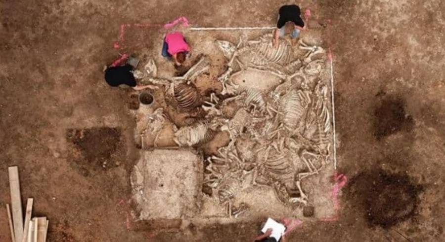 العثور على قبر عمره آلاف السنين في ألمانيا