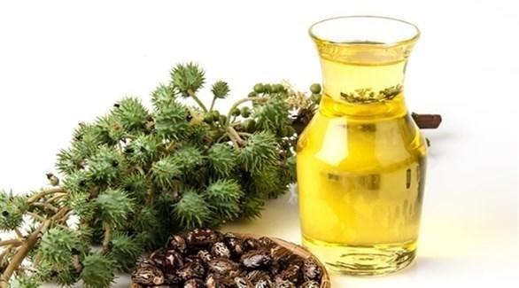 فوائد زيت الخروع