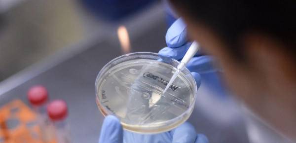 دراسة: على العالم التحوّط من متحوّر فيروس زيكا