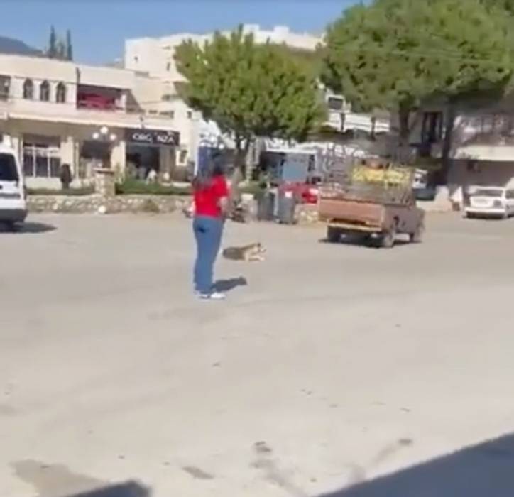 مشهد وحشي لا يصدق.. امرأة تفرغ رصاصها في كلب دون رحمة