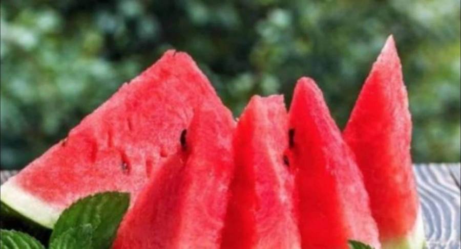من فوائد البطيخ في فقدان الوزن .... تفاصيل