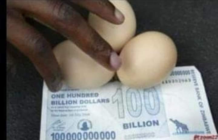 هذا ما يمكن أن تشتريه بمبلغ 100 مليار من عملة زمبابوي.