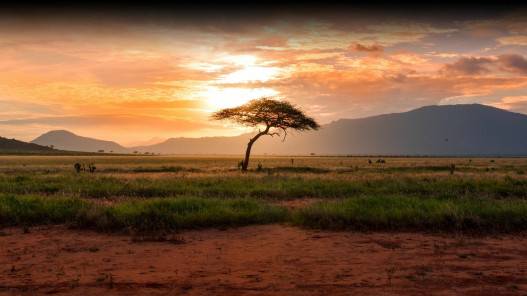 رحلة فندقية ثابتة بالقطار فوق سهول السافانا في جنوب إفريقيا