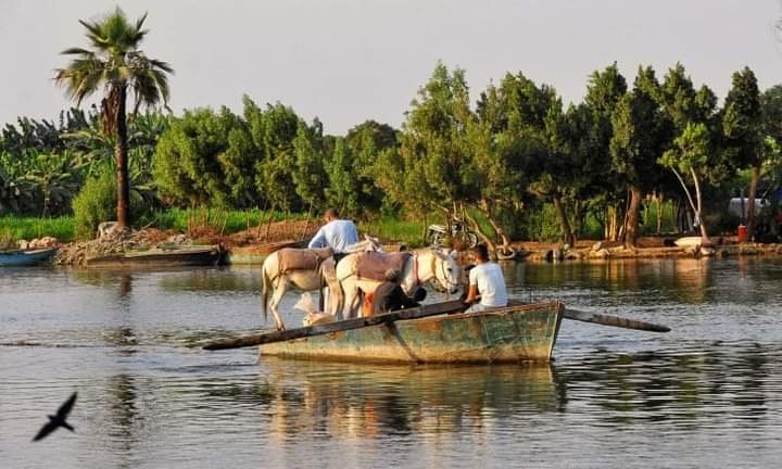غرق 8 أطفال شمالي مصر أثناء عودتهم من العمل