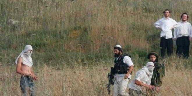 إصابة فلسطينيين اثنين جراء اعتداء مستوطنين عليهما في الخليل