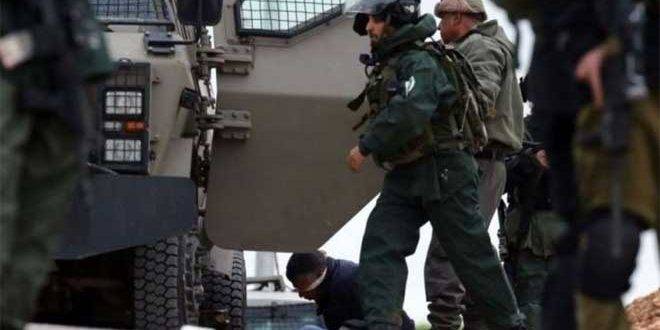 إصابة عدد من الفلسطينيين جراء اعتداء الاحتلال عليهم في قباطية