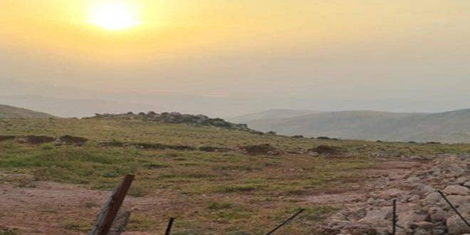 قوات الاحتلال تقتلع عشرات الأشجار المثمرة في نابلس