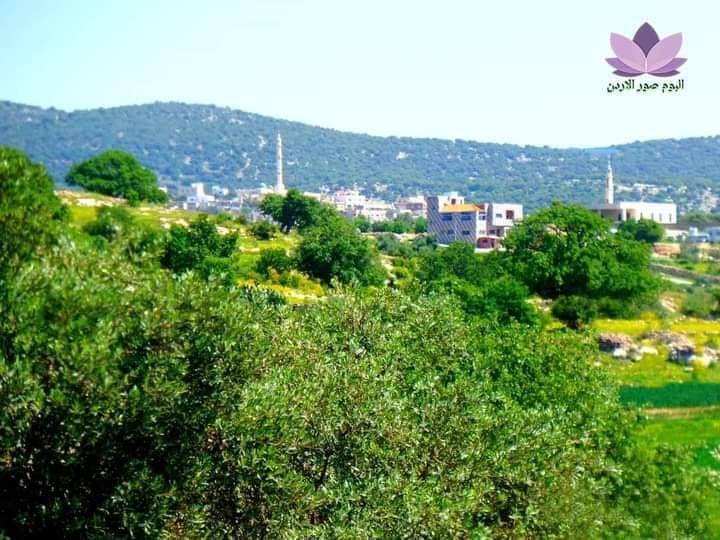بيت ايدس ؛ عرين المقداد .
