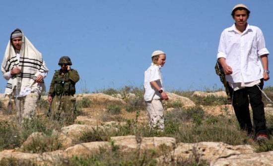 مستوطنون متطرفون يستولون على 60 دونمًا جنوب بيت لحم