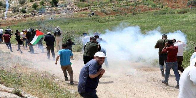 إصابة عدد من الفلسطينيين جراء اعتداء قوات الاحتلال عليهم في نابلس