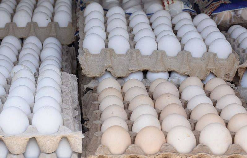 لجنة منتجي الدواجن: لا صحة لبيع بيض الدواجن السعودية بأسعار أقل في دول مجاورة