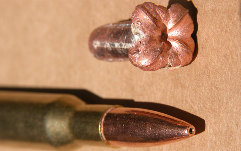 الطب الشرعي الفلسطيني: جسد أبو عاقلة تلقى رصاصة انشطارية