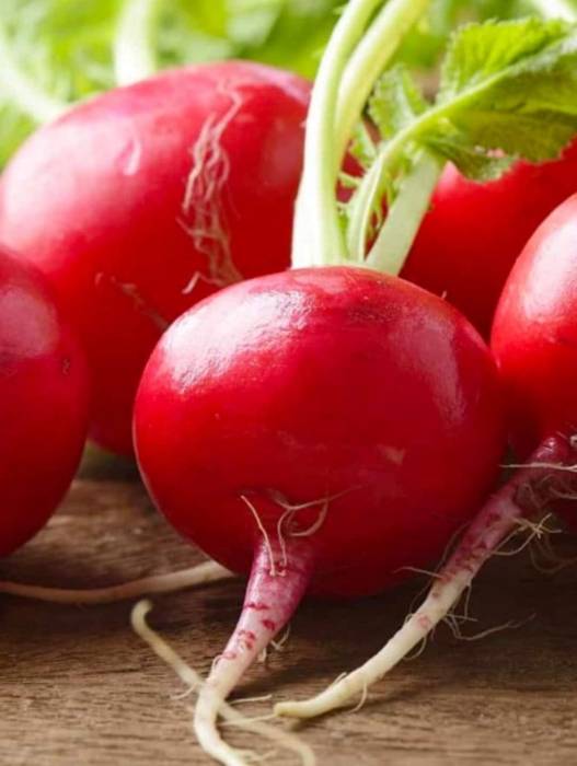 ماذا يحدث للجسم عند تناول الفجل يحسن عمل الكبد والكلى والوقاية من السكري والسرطان