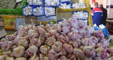 مصدرو الخضار والفواكه: أسعار الثوم أقل من الاعوام السابقة