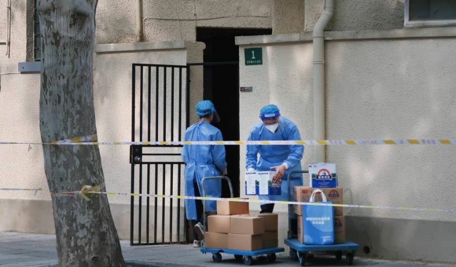 الصين: الحجر الصحي يطلق العنان للمواطنين لزراعة الخضار على شرفات المنازل