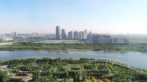 الصين: علماء يكتشفون جينا جديدا لتحسين محصول القمح