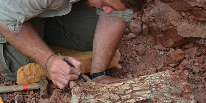 اكتشاف أحفورة لطائر زاحف ضخم تعود لملايين السنين في الأرجنتين