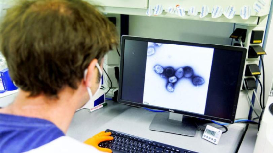 العالم يضخِّم أزمة الجدري بعدما احترق بكورونا