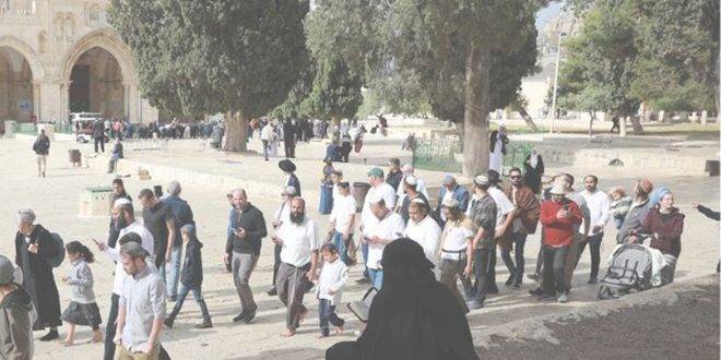 عشرات المستوطنين يقتحمون الأقصى