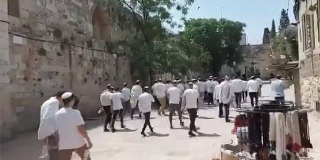 الاحتلال ومستوطنوه يقتحمون بلدة جبل المكبر وباب الأسباط في القدس