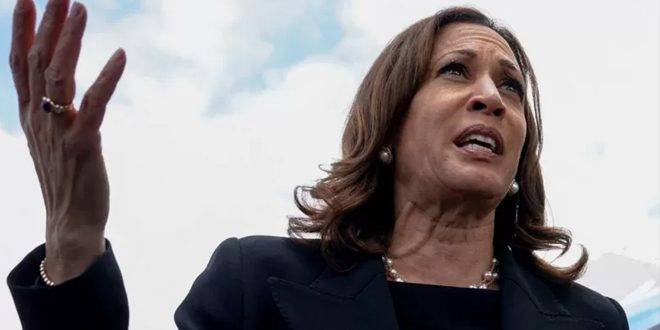 نائبة الرئيس الأمريكي تطالب بحظر على الأسلحة الهجومية للحد من العنف