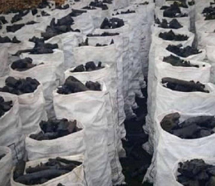 الجزائر تعلن تجميد إنتاج الفحم لهذا السبب