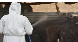 العراق: تسجيل 20 وفاة وعشرات الاصابات بمرض الحمى النزفية