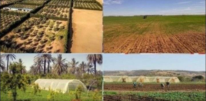 وزارة الفلاحة الجزائرية تستدعي الفلاحين لهذا السبب