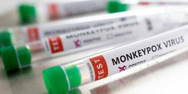 إصابات جدري القردة تتجاوز المئة في البرتغال