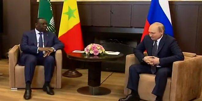 بوتين: دور إفريقيا الدولي في تزايد وسنطور العلاقات معها