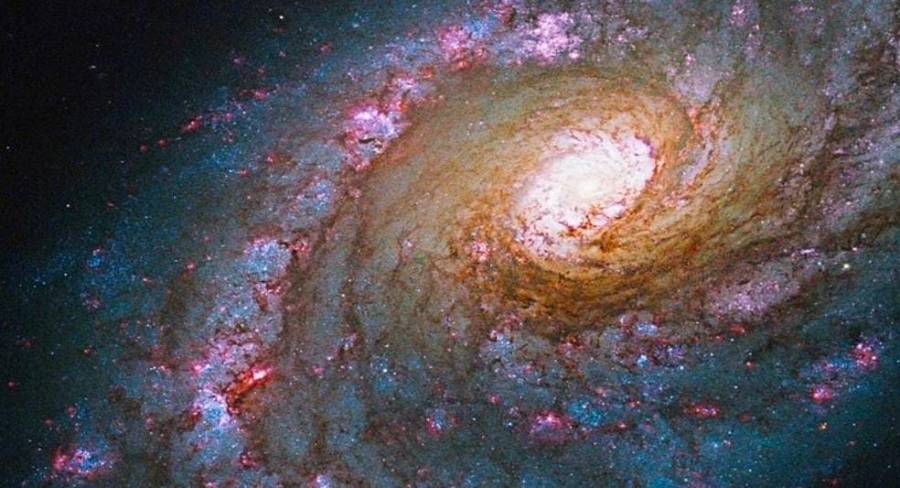 هنا الجحيم والألماس والذهب....ينفجر بشكل لا يمكن تصوّره