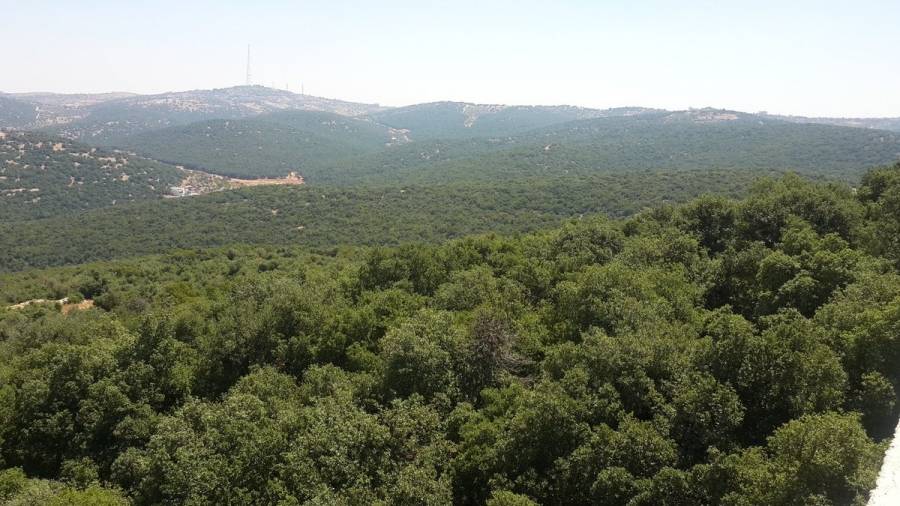 منتدون يؤكدون ضرورة تكاتف الجهود للحفاظ على البيئة