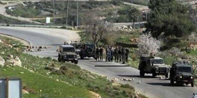 مستوطنون يعتدون على ممتلكات الفلسطينيين في الضفة الغربية