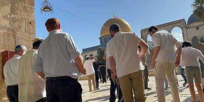 عشرات المستوطنين يجددون اقتحام الأقصى