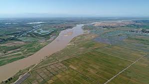 الصين : خريطة عالية الدقة لخط الأشجار المتوطنة على ارتفاعات شاهقة بجبال الهيمالايا