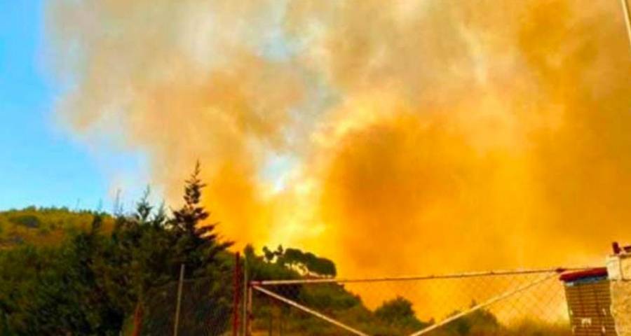 حريق في الغابات والجيش اللبناني يتدخل